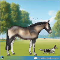 Horse Color:Brown Onyx Rabicano