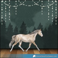 Horse Color:White Spotted Chocolate Palomino Pearl Dun Splash Rabicano