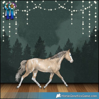 Horse Color:White Spotted Chocolate Palomino Snowdrop Dun Splash Rabicano