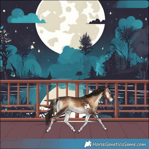 Horse Color:White Spotted Liver Red Onyx 