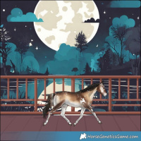 Horse Color:White Spotted Liver Red Onyx 
