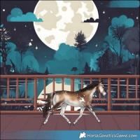 Horse Color:White Spotted Liver Red Onyx