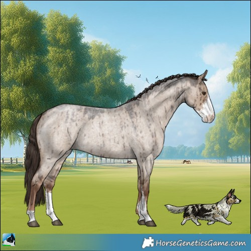 Horse Color:Liver Red Dun Roan Sabino Brindle