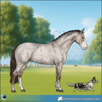 Horse Color:Liver Red Dun Roan Sabino Brindle 