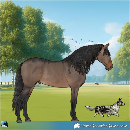 Horse Color:Brown Dun Mushroom Rabicano 