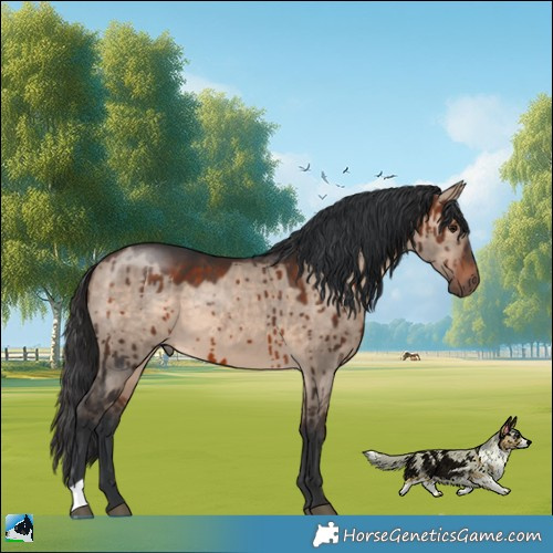 Horse Color:Brown Dun Mushroom Brindle 