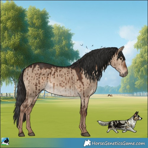 Horse Color:Liver Red Dun Brindle 