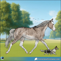 Horse Color:Liver Red Dun Mushroom Sabino Splash Brindle