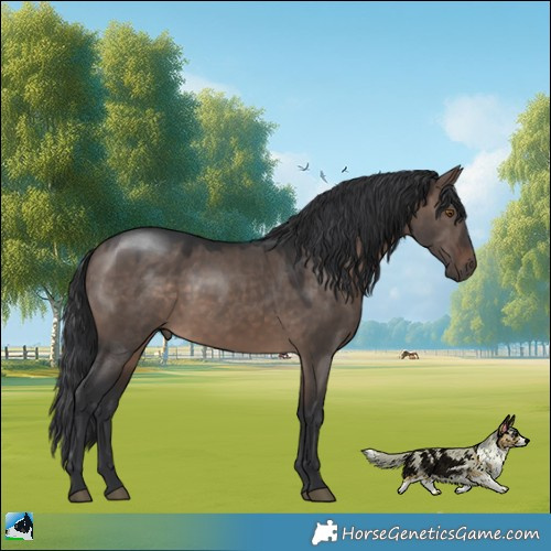 Horse Color:Brown Dun Mushroom 