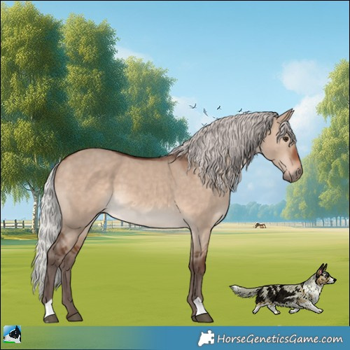 Horse Color:Silver Brown Dun Mushroom 