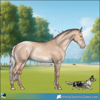 Horse Color:Silver Sable Champagne Dun 