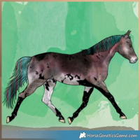 Horse Color:Void Painted Plaid  White Spotted Liver Red Onyx Ice Tobiano 