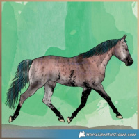 Horse Color:Void Painted Plaid  Liver Red Dun Ice Onyx Sabino Tobiano Brindle 