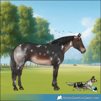 Horse Color:White Spotted Brown Mushroom 