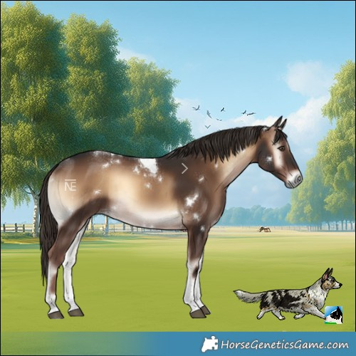 Horse Color:White Spotted Liver Red Onyx Tobiano Rabicano 