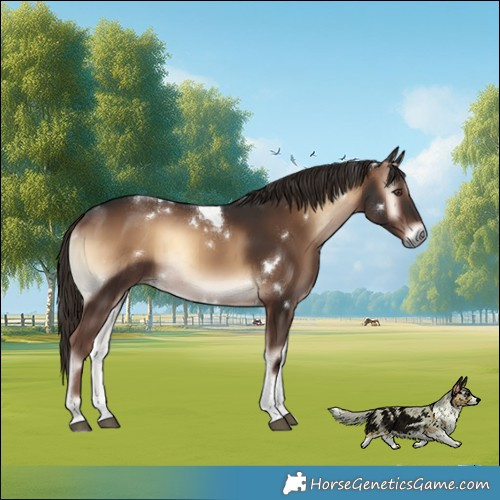 Horse Color:White Spotted Liver Red Onyx Tobiano Rabicano