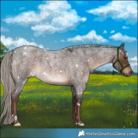Horse Color:White Spotted Liver Red Roan Mushroom Rabicano 