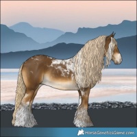 Horse Color:Chocolate Palomino Mushroom Tobiano Rabicano 