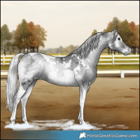 Horse Color:White Spotted Silver Blue Onyx Chinchilla Ice Tobiano Rabicano 