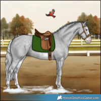 Horse Color:White Spotted Silver Grullo Chinchilla 