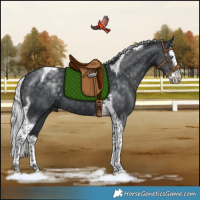 Horse Color:Silver Black Chinchilla Splash Tobiano Rabicano