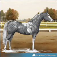 Horse Color:Silver Black Chinchilla Ice Splash Tobiano Rabicano 