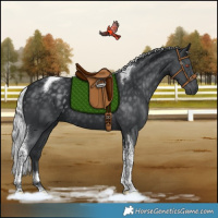 Horse Color:Silver Black Chinchilla Tobiano 