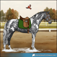 Horse Color:White Spotted Silver Black Chinchilla Tobiano Rabicano 