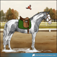 Horse Color:Silver Black Chinchilla Splash Tobiano Rabicano 