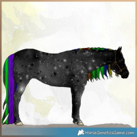Horse Color:Void Painted Plaid  White Spotted Liver Red Dun Sabino 