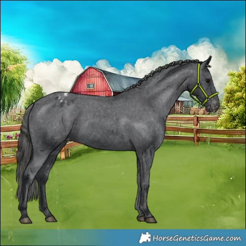 Horse Color:Black Varnish 