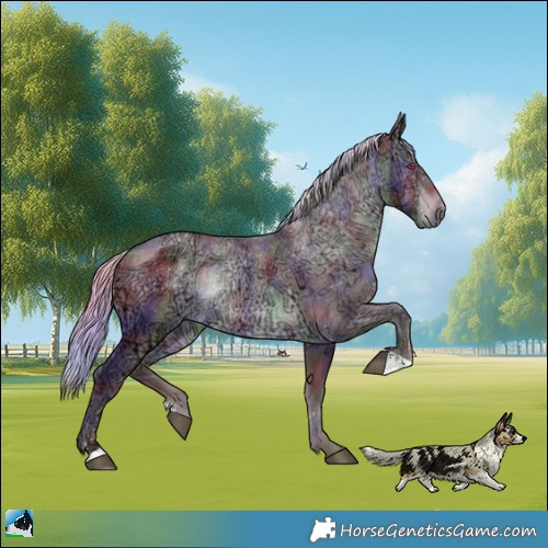 Horse Color:Nacre Chocolate Silver Brown Chinchilla Ice Rabicano 