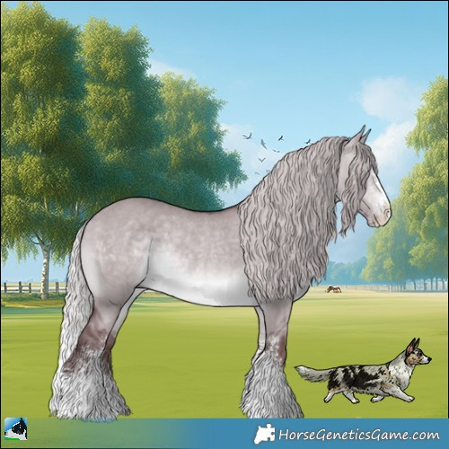 Horse Color:Chocolate Silver Brown Chinchilla Dun Sabino Rabicano 