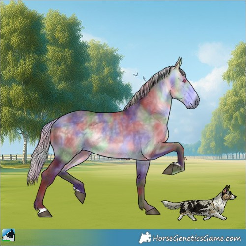 Horse Color:Nacre Chocolate Silver Buckskin Chinchilla Rabicano