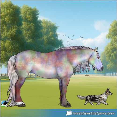 Horse Color:Nacre Chocolate Silver Buckskin Chinchilla Rabicano 