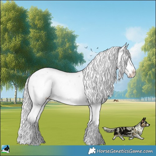 Horse Color:Chocolate Silver Buckskin Chinchilla Sabino Rabicano 