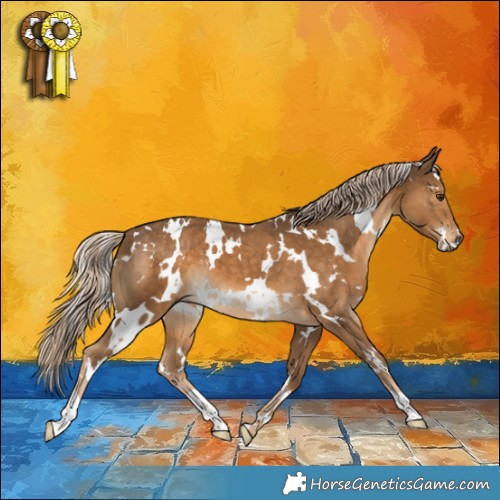 Horse Color:White Spotted Chocolate Palomino
