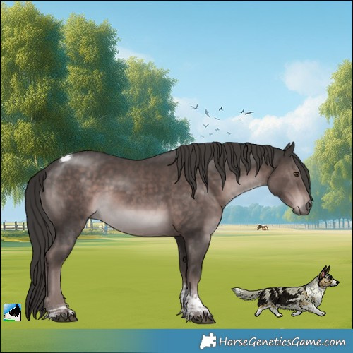 Horse Color:Platinum Liver Chestnut Tobiano Rabicano 