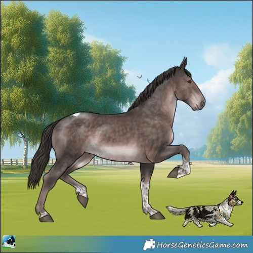 Horse Color:Platinum Liver Chestnut Tobiano Rabicano