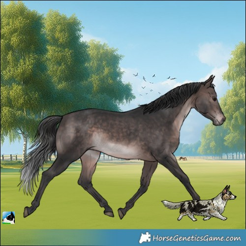 Horse Color:Platinum Brown Rabicano 
