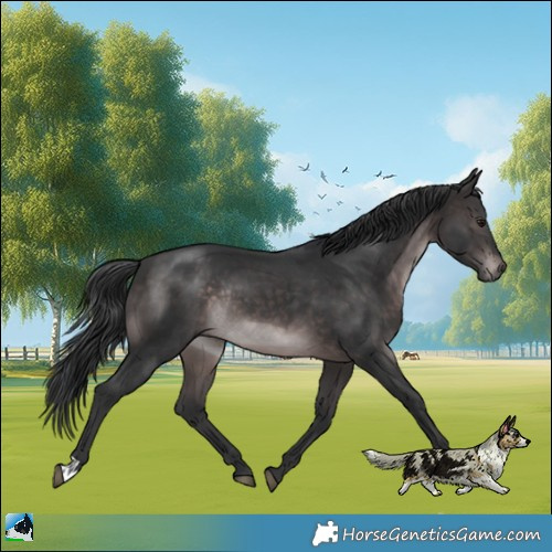 Horse Color:Platinum Brown Mushroom Rabicano