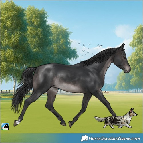 Horse Color:Platinum Brown Mushroom Rabicano