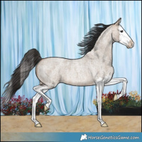 Horse Color:Bay Roan Dun Splash 