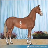Horse Color:Chestnut Sabino