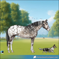 Horse Color:Blue Onyx Blanket 