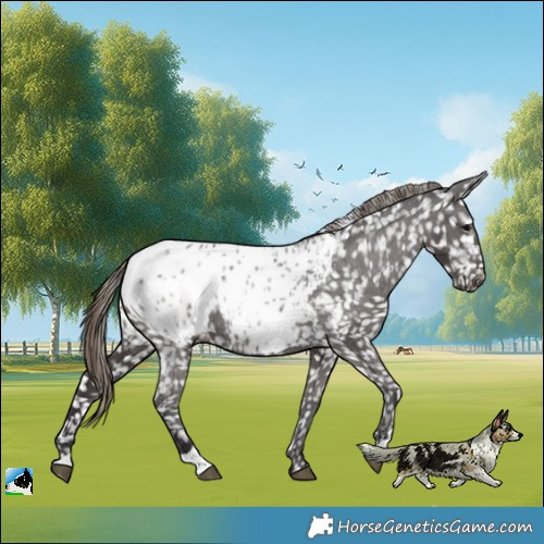 Horse Color:Smoky Black Mushroom Blanket
