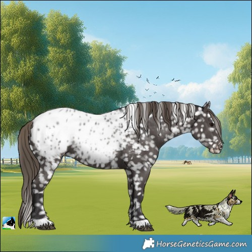 Horse Color:Smoky Black Mushroom Blanket 
