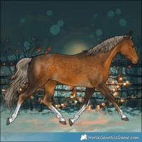 Horse Color:White Spotted Chocolate Palomino 
