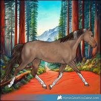 Horse Color:White Spotted Liver Red Dun Tobiano Rabicano 