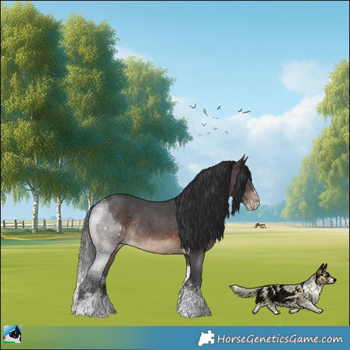 Horse Color:Brown Sabino Tobiano Rabicano